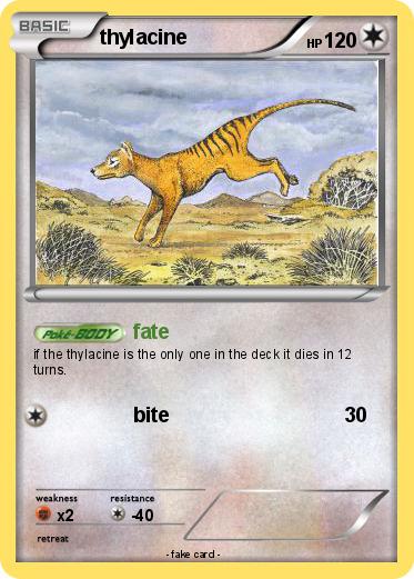 Pokemon thylacine
