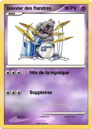 Pokemon bouvier des flandres