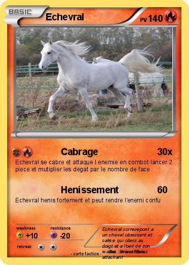 Pokemon Echevral