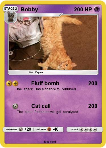 Pokemon Bobby
