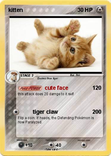 Pokemon kitten