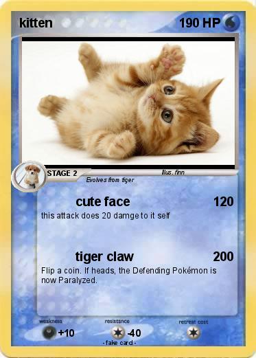 Pokemon kitten