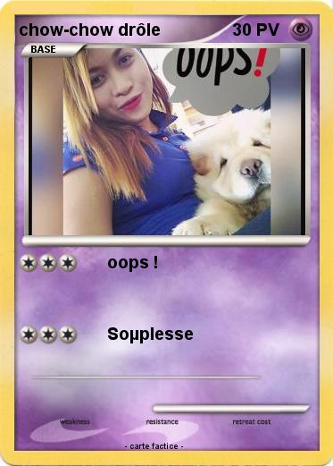 Pokemon chow-chow drôle