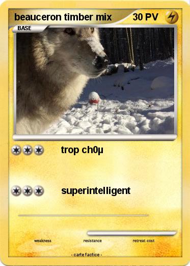 Pokemon beauceron timber mix