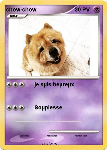 Pokemon chow-chow