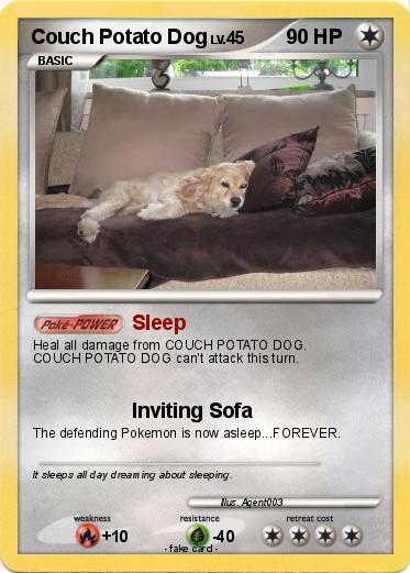 Pokemon Couch Potato Dog