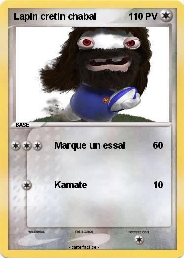 Pokemon Lapin cretin chabal