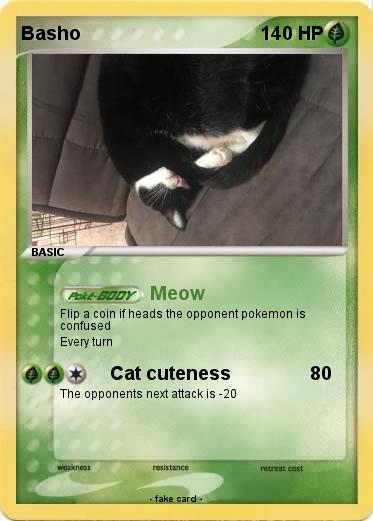 Pokemon Basho