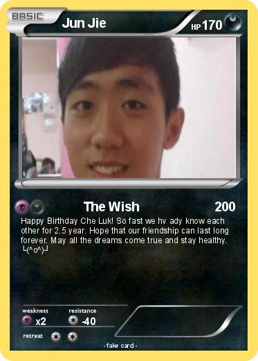 Pokemon Jun Jie