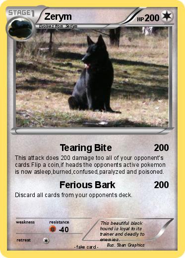 Pokemon Zerym