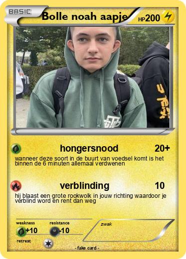 Pokemon Bolle noah aapje