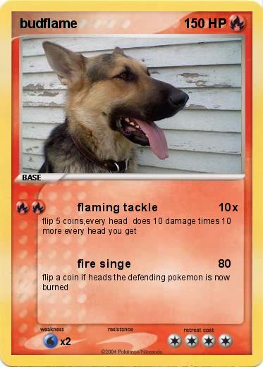 Pokemon budflame