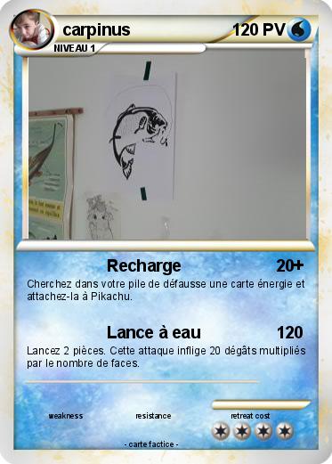 Pokemon carpinus