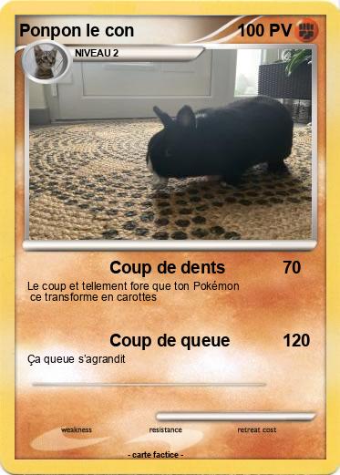 Pokemon Ponpon le con