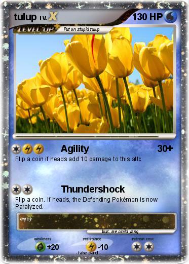 Pokemon tulup