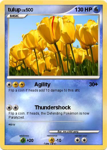 Pokemon tulup