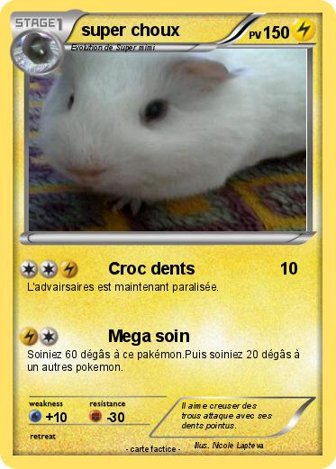 Pokemon super choux