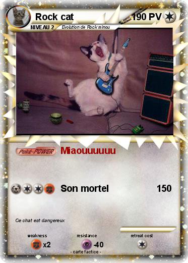Pokemon Rock cat