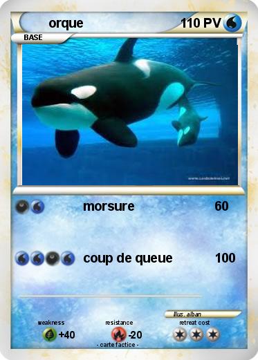 Pokemon orque
