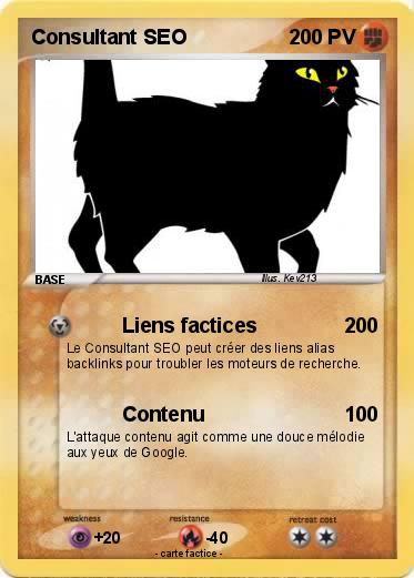 Pokemon Consultant SEO