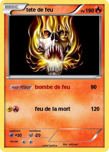 Pokemon tete de feu