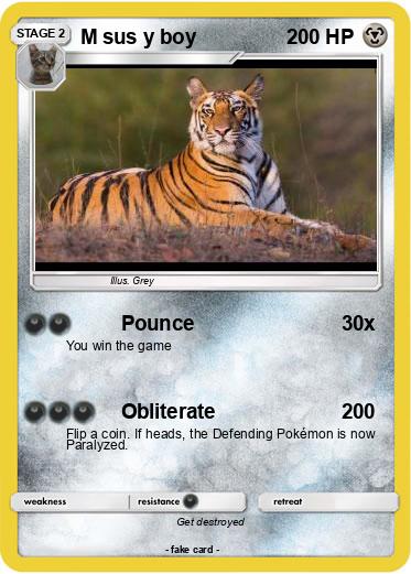 Pokemon M sus y boy