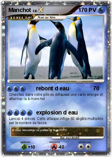 Pokemon Manchot