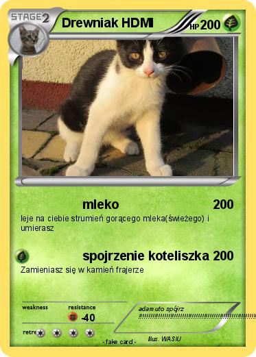 Pokemon Drewniak HDMI