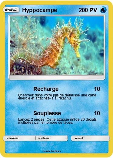 Pokemon Hyppocampe