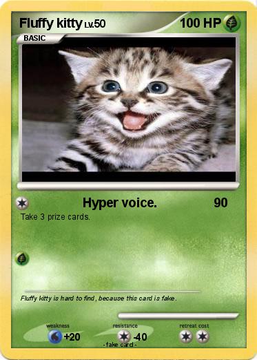 Pokemon Fluffy kitty