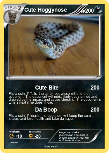Pokemon Cute Hoggynose