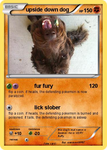 Pokemon upside down dog
