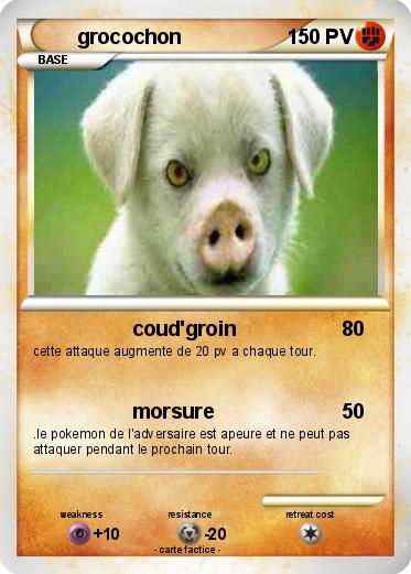 Pokemon grocochon