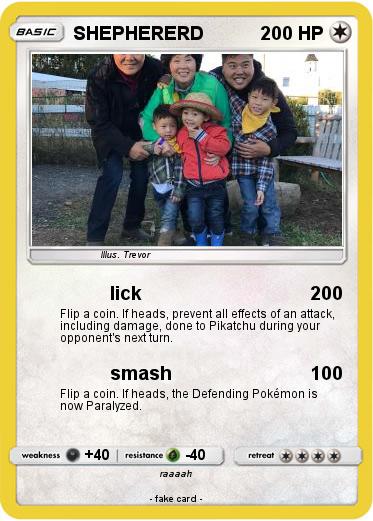 Pokemon SHEPHERERD