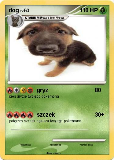 Pokemon dog