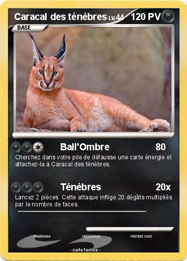 Pokemon Caracal des ténèbres
