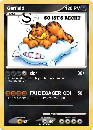 Pokemon Garfield