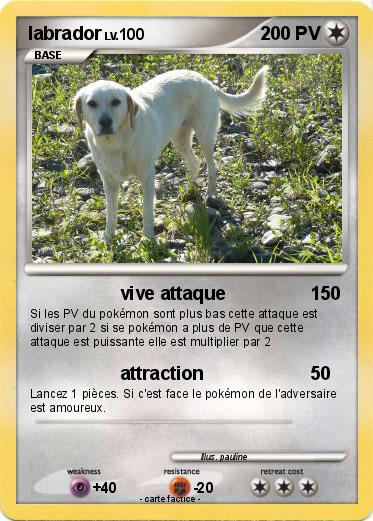 Pokemon labrador