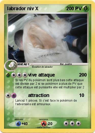 Pokemon labrador niv X