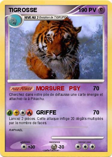 Pokemon TIGROSSE
