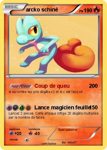 Pokemon arcko schiné