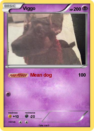Pokemon Viggo