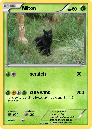 Pokemon Milton