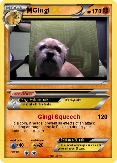Pokemon Gingi