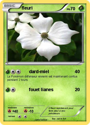 Pokemon fleuri