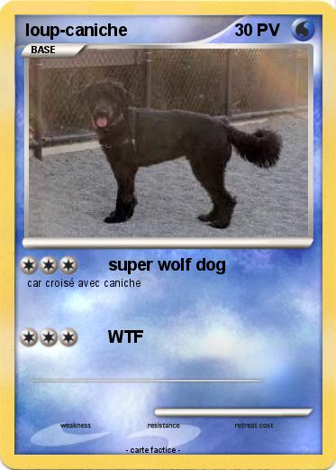 Pokemon loup-caniche