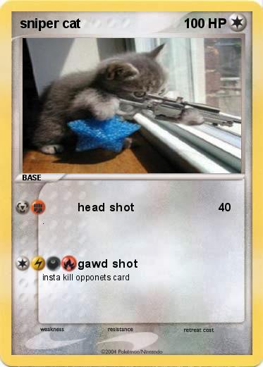 Pokemon sniper cat