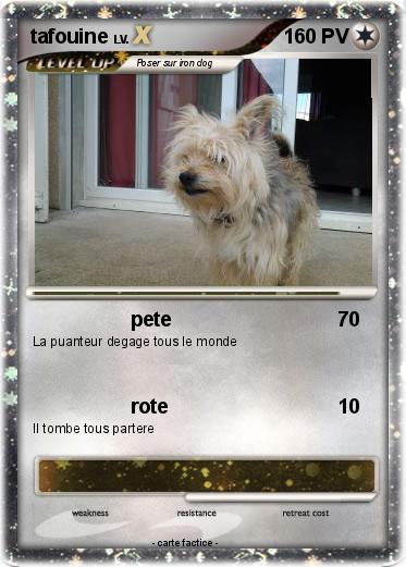 Pokemon tafouine