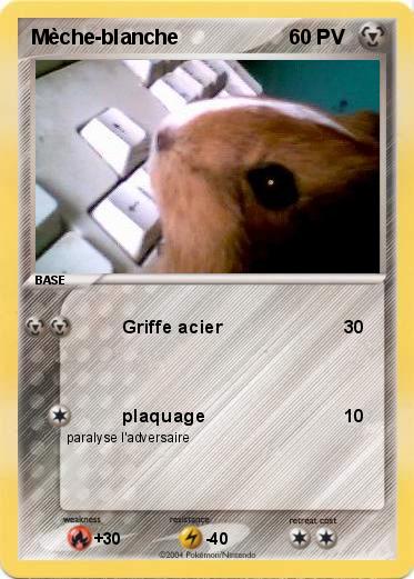 Pokemon Mèche-blanche