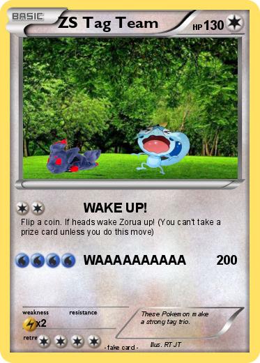 Pokemon ZS Tag Team